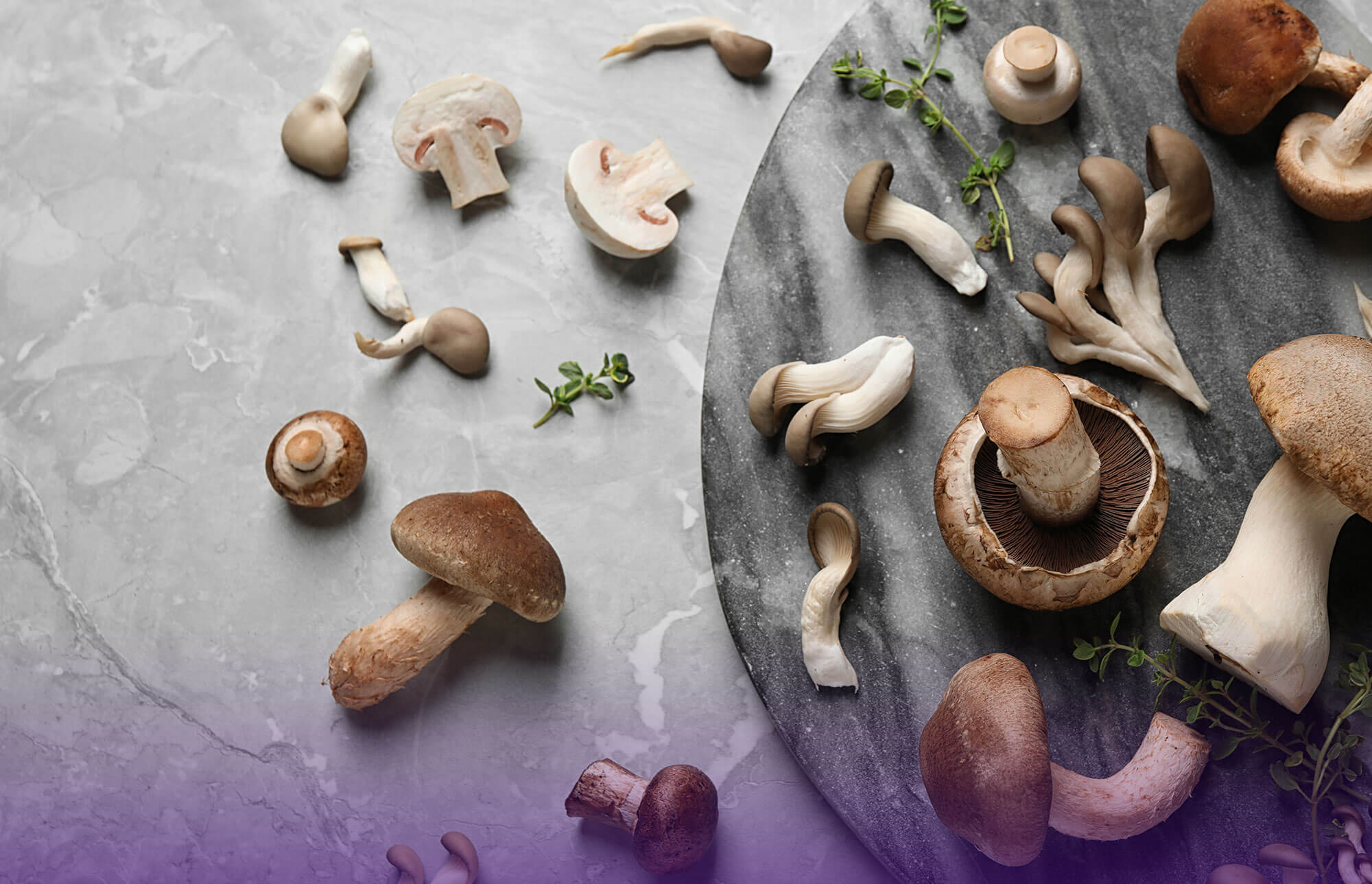 mushrooms - image